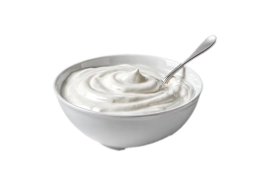 A bowl of yogurt.