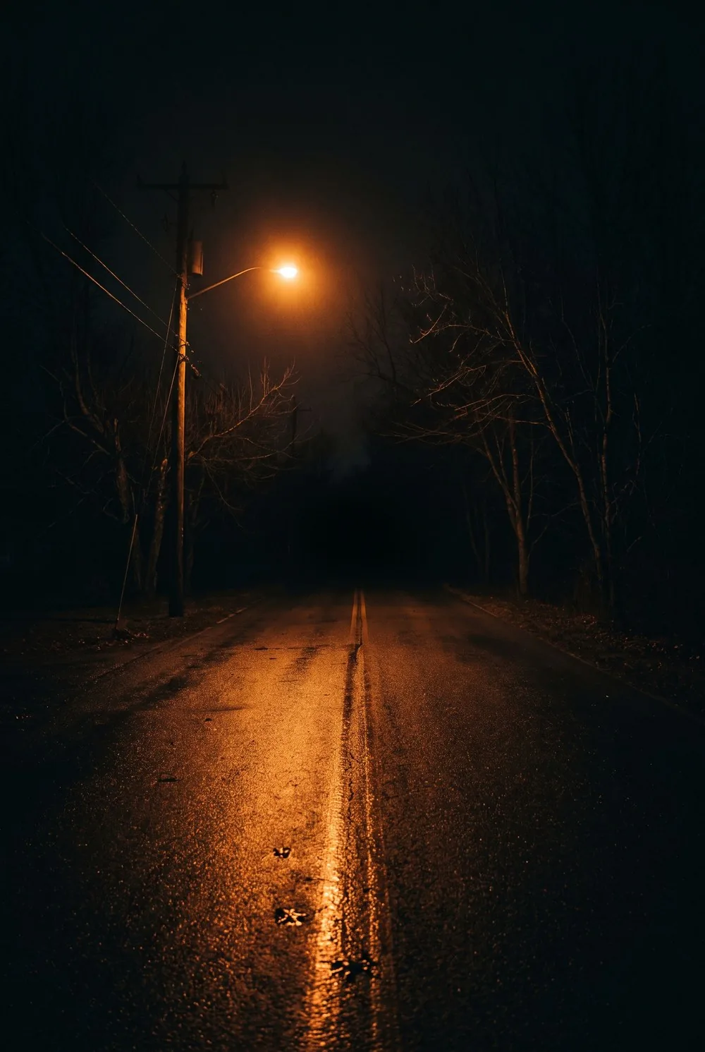 An empty suburban road before dawn, wet after rain, with a single streetlight overhead throwing a hot amber pool onto the asphalt and doubling in the wet surface, bare trees on either side disappearing into black and the road running away into complete darkness.